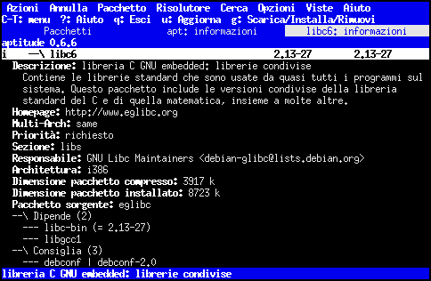 [barra delle schede delle viste: Pacchetti, informazioni di apt, informazioni di libc6]