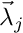 $ \vec{\lambda}_j $