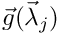 $ \vec{g}(\vec{\lambda}_j) $