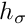 $h_{\sigma}$