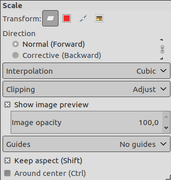 Tool options for the Scale tool