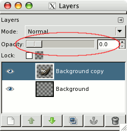 Layer opacity set to zero