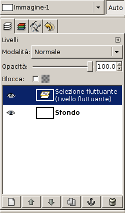La finestra di dialogo livelli mostra una selezione fluttuante.