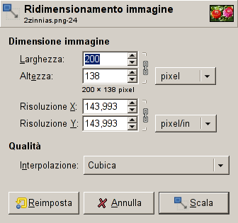 La finestra di dialogo «Scala immagine»