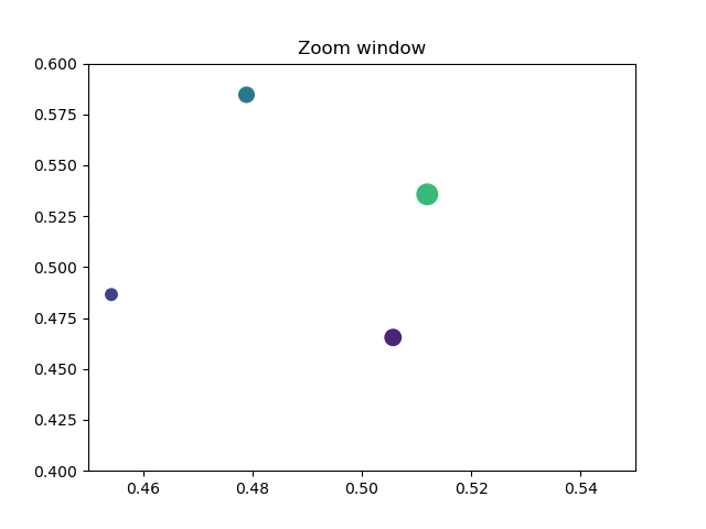 Zoom window