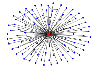 Ego Graph