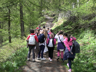 ParcoNazionaleDelGranParadiso1